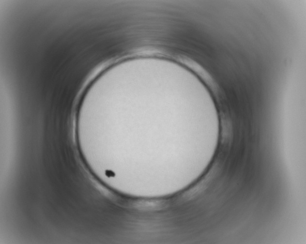 X0000113031286200910081212