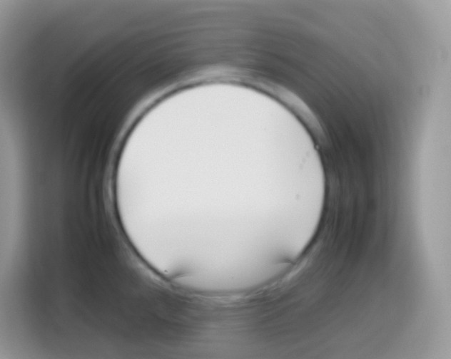 X0000113031288200910081212