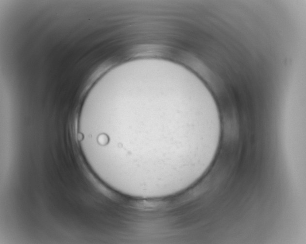 X0000113031290200910081212