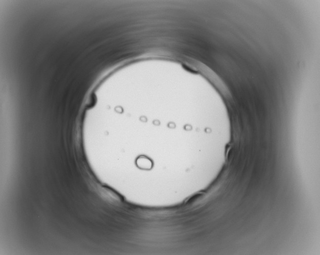 X0000113031292200910081212