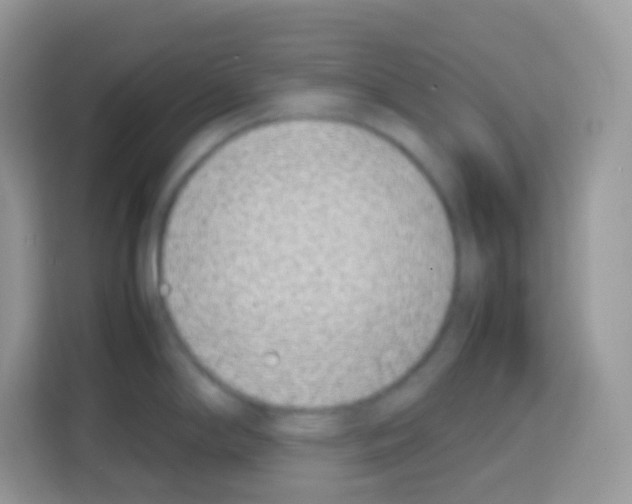 X0000113031294200910081212