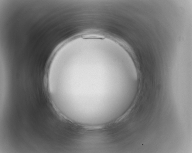 X0000113031296200910081212