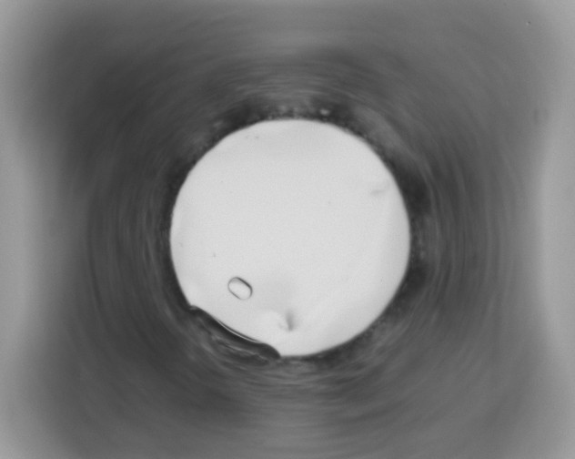 X0000113031298200910081212