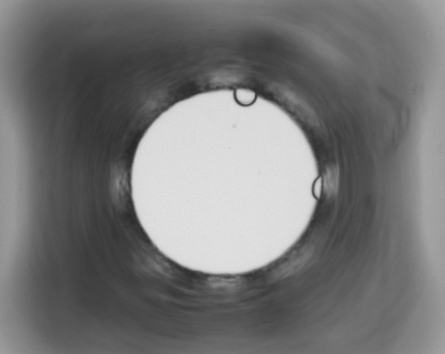 X0000113031299200910081212