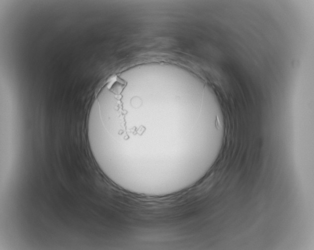 X0000113031300200910081212