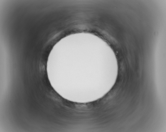 X0000113031302200910081212