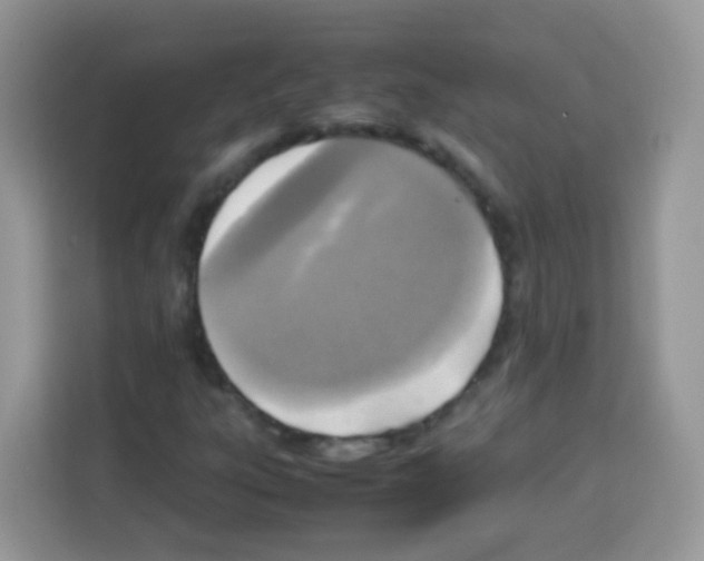 X0000113031303200910081212