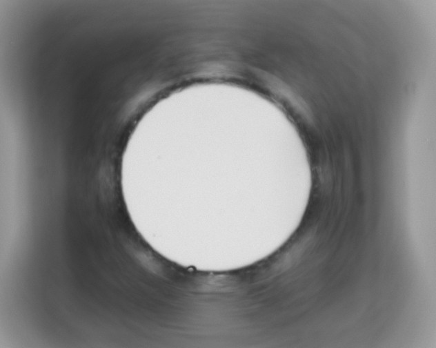 X0000113031304200910081212