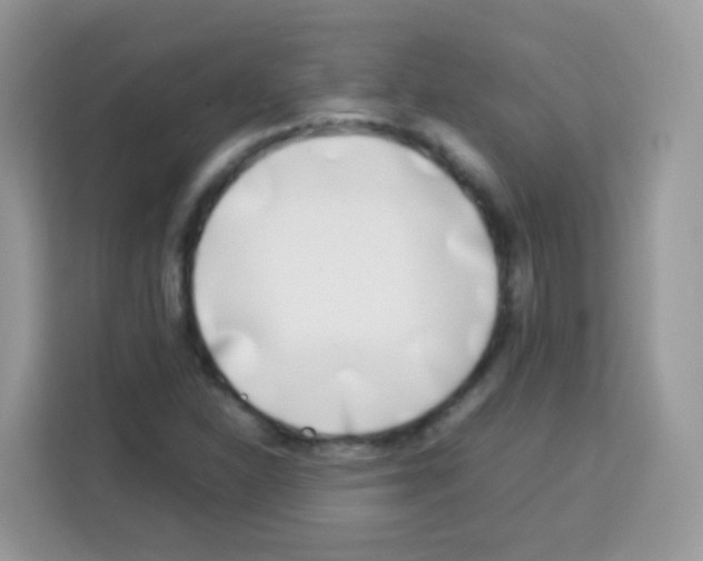 X0000113031310200910081212