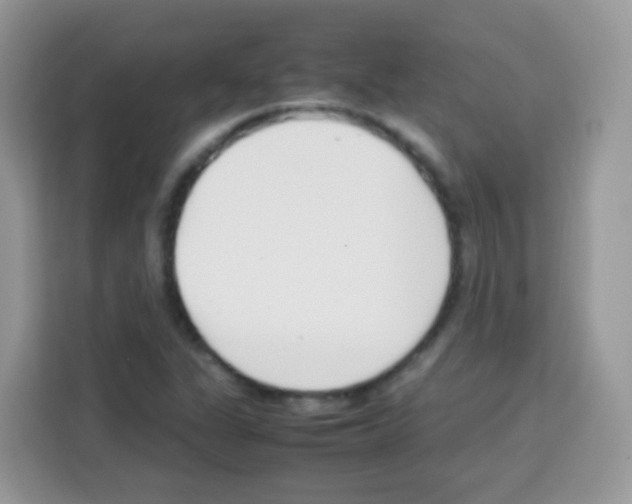 X0000113031311200910081212