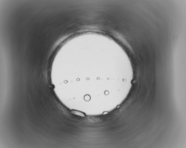 X0000113031312200910081212