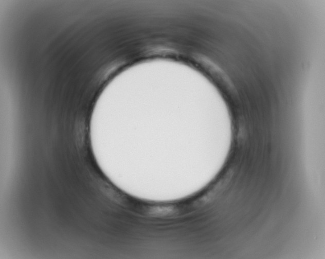 X0000113031313200910081212