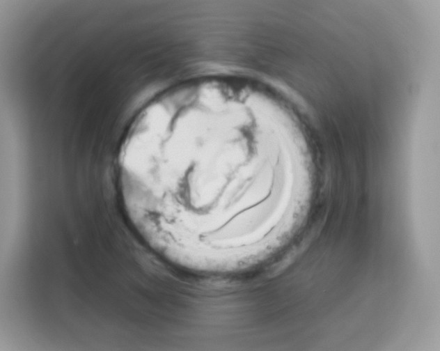 X0000113031314200910081212