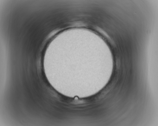 X0000113031315200910081212