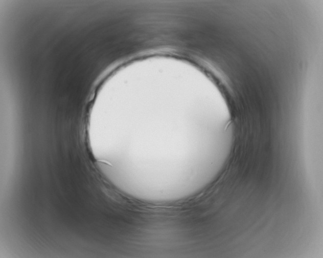 X0000113031316200910081212