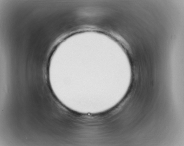 X0000113031318200910081212