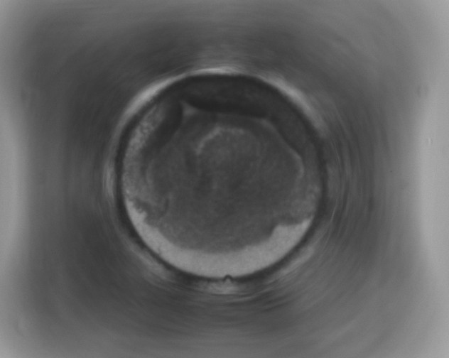 X0000113031319200910081212