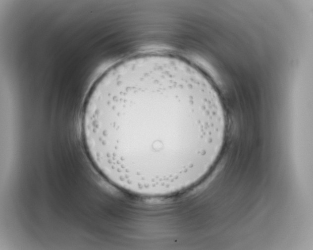 X0000113031322200910081212