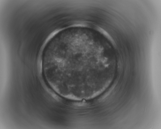 X0000113031323200910081212