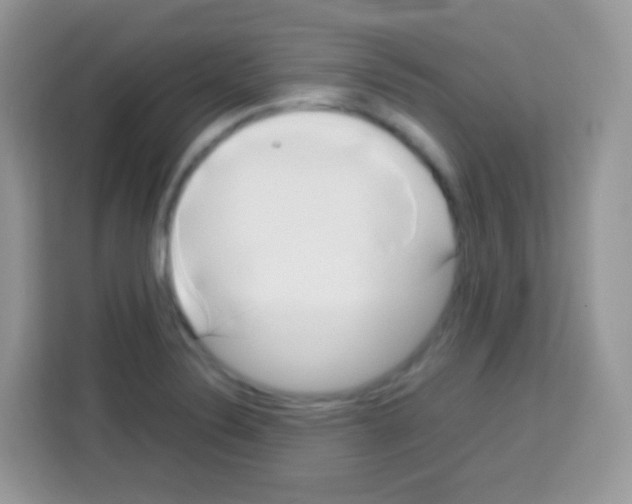 X0000113031324200910081212