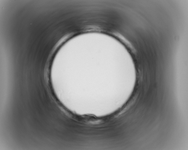 X0000113031325200910081212