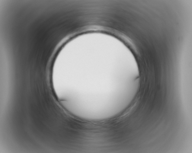 X0000113031326200910081212