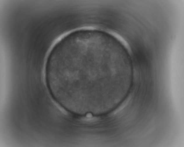 X0000113031327200910081212