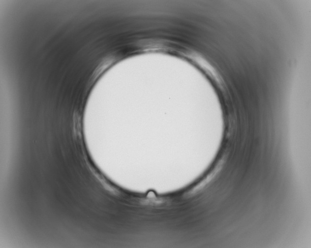 X0000113031329200910081212