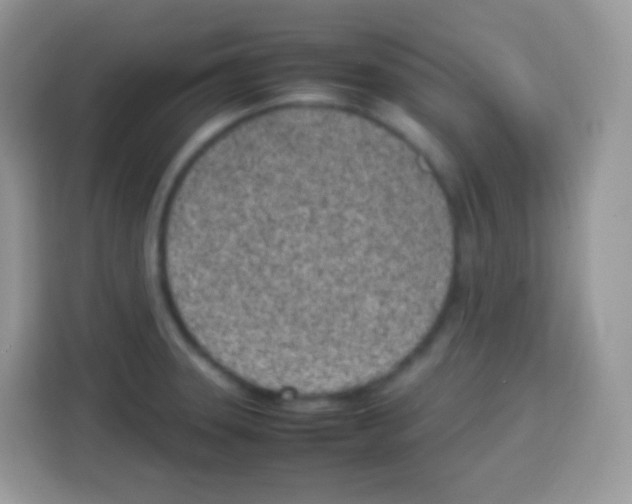 X0000113031331200910081212