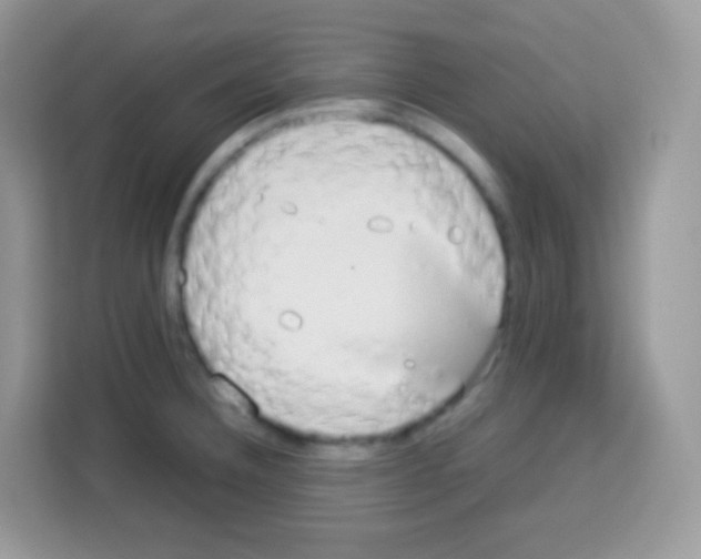 X0000113031332200910081212