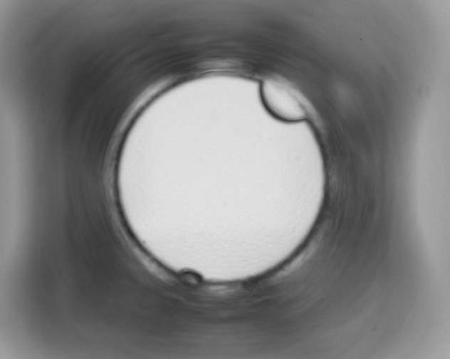 X0000113031333200910081212