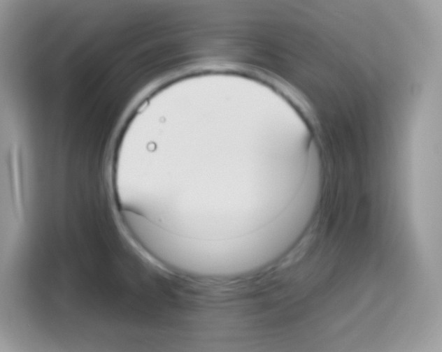 X0000113031334200910081212