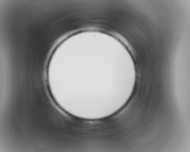 X0000113031335200910081212