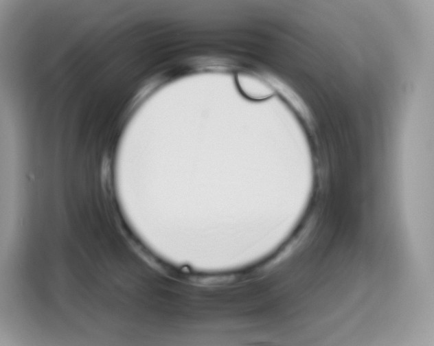 X0000113031337200910081212