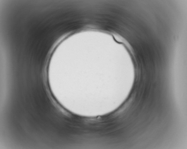 X0000113031341200910081212