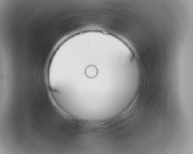 X0000113031342200910081212