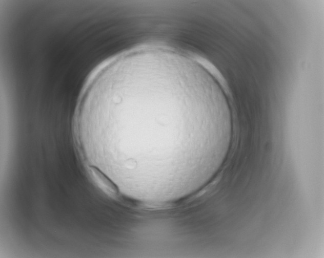 X0000113031344200910081212