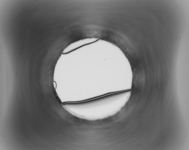 X0000113031345200910081212