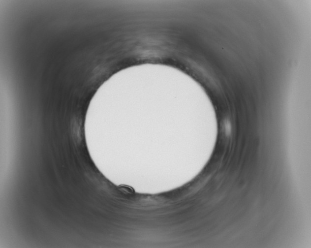 X0000113031348200910081212