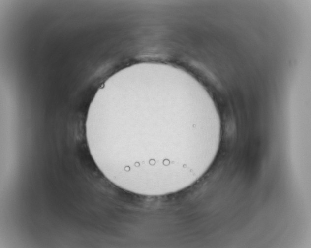 X0000113031350200910081212