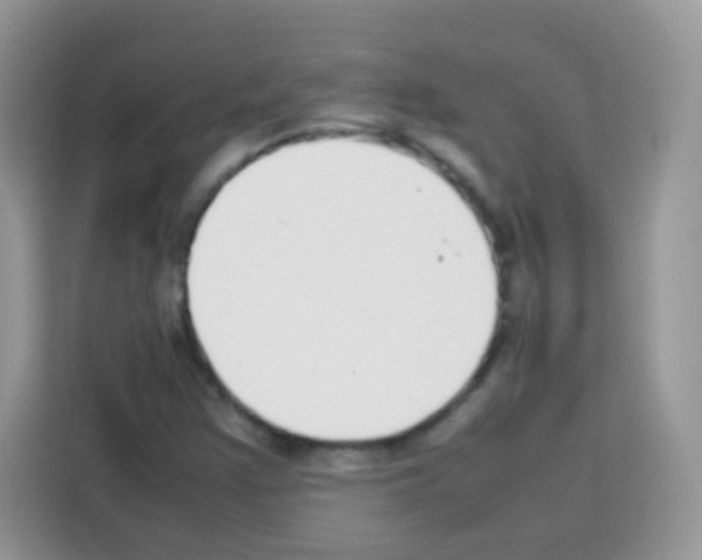 X0000113031355200910081212