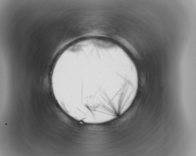 X0000113031356200910081212