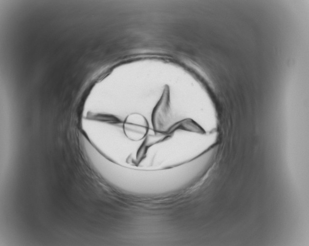 X0000113031357200910081212