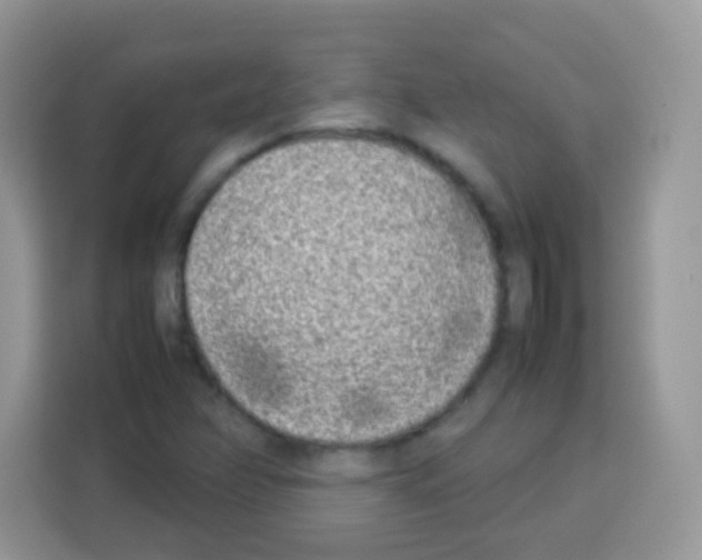 X0000113031358200910081211