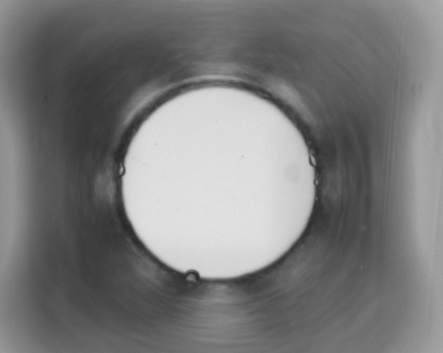 X0000113031360200910081211