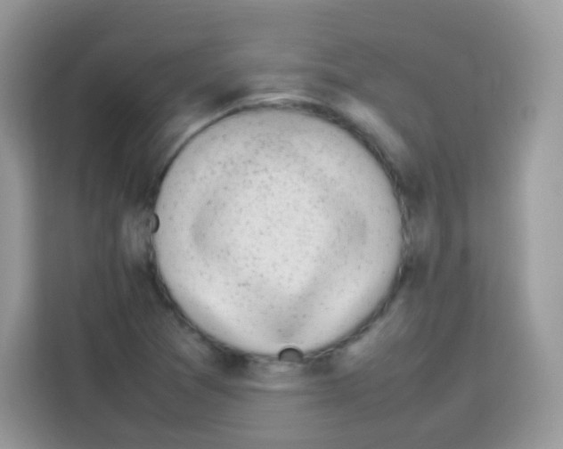 X0000113031361200910081211