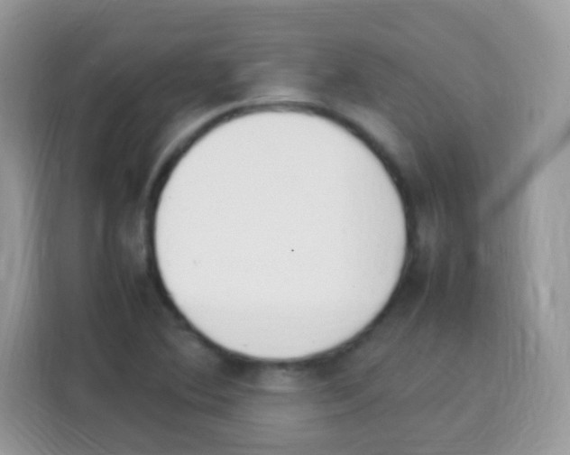 X0000113031364200910081211