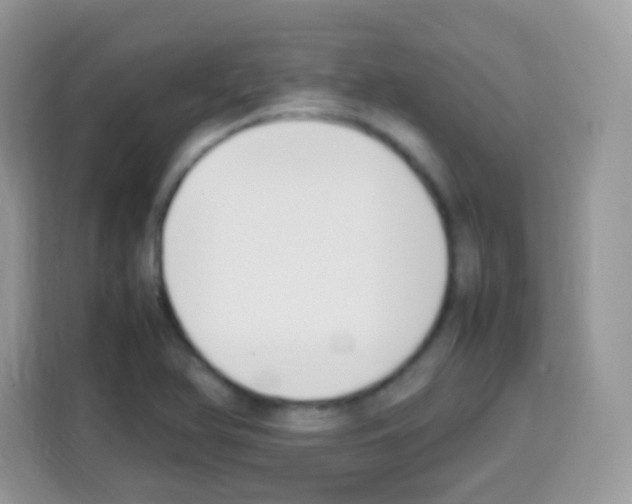 X0000113031366200910081211