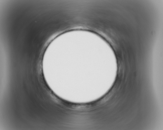 X0000113031367200910081211