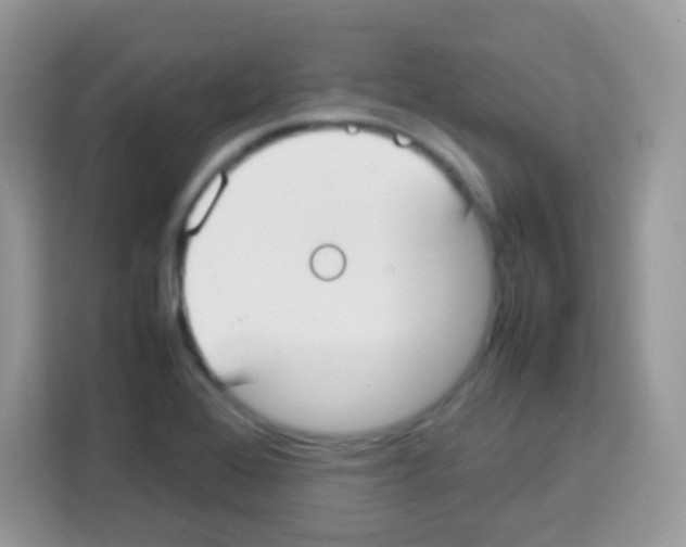 X0000113031368200910081211